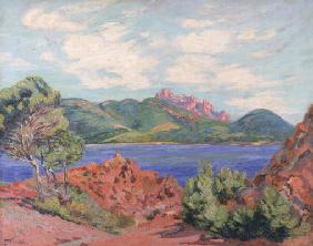 The Bay of Agay, c.1905 (oil on canvas) 1784
