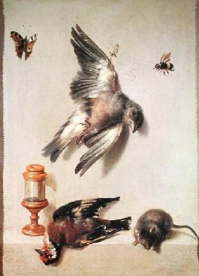 Still Life of Dead Birds and a Mouse 1712