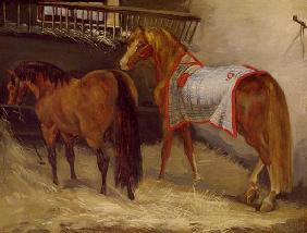 Horses in the Stables (oil on canvas) 19th