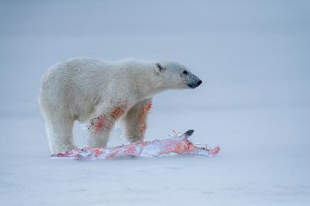 Jagd im Schnee