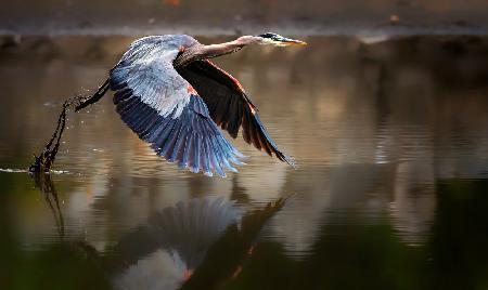 Vom Wasser aus fliegen