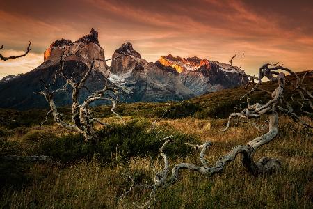 Torres Del Paine im Sonnenaufgang