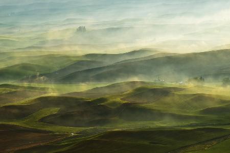 Goldener Morgen-Palouse