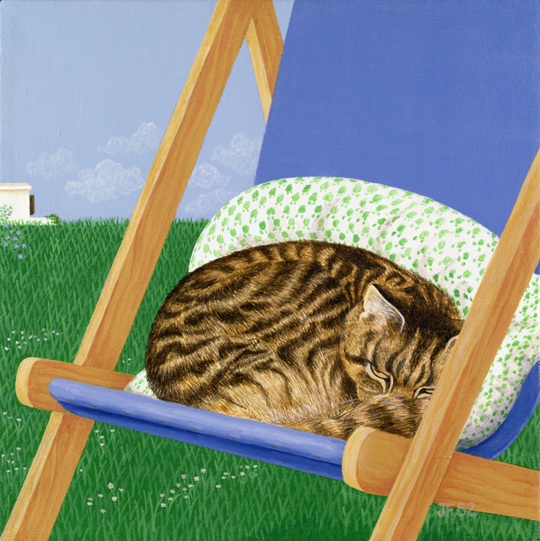 Tabby cat asleep in a deck chair von Joan Freestone