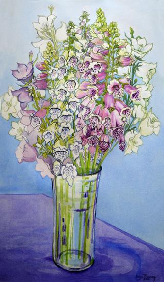 Foxgloves and Campanulas 2005