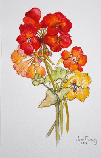 Geranium and Nasturtiums 2014