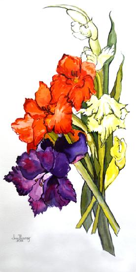 Gladioli 2011