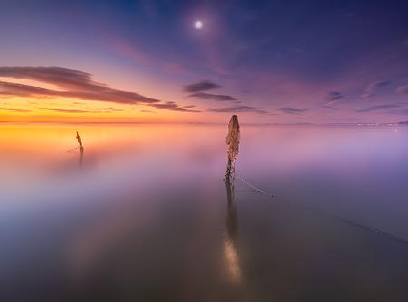 Sonnenaufgang im Feuchtgebiet Delta del Ebre