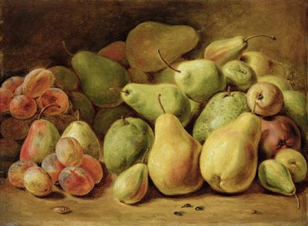 Fruit Still Life von Joh. Friedrich August Tischbein
