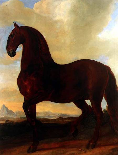 The Bay Stallion at the Eisgruber Stud von Johann Georg Hamilton