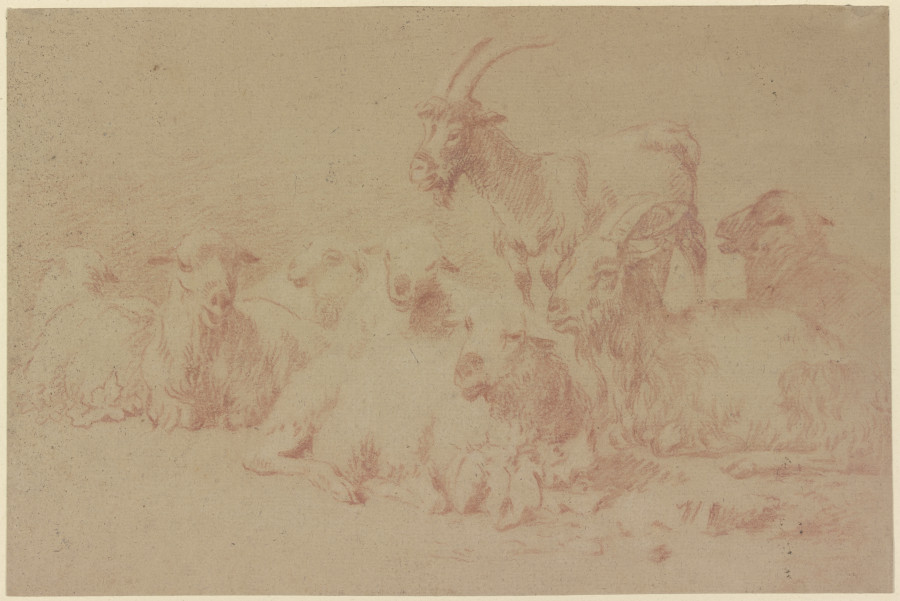 Zwei Ziegen und sechs Schafe von Johann Heinrich Roos