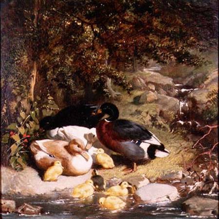 Ducks and Ducklings von John Frederick Herring d.Ä.