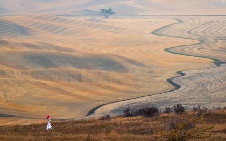 Die Kurve bei Wheatfield