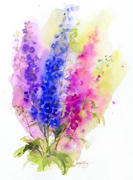 Delphinium von John Keeling