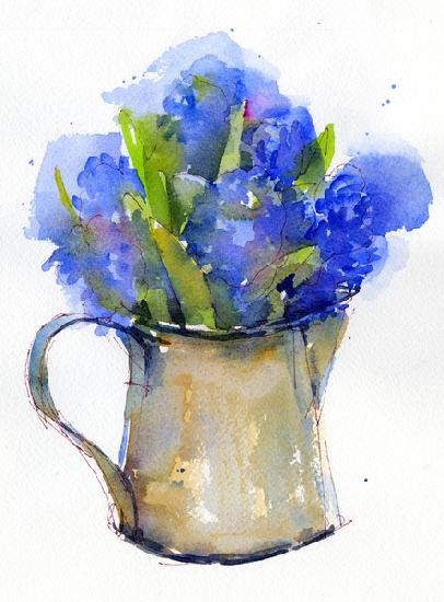 Hyacinth in pitcher 2014