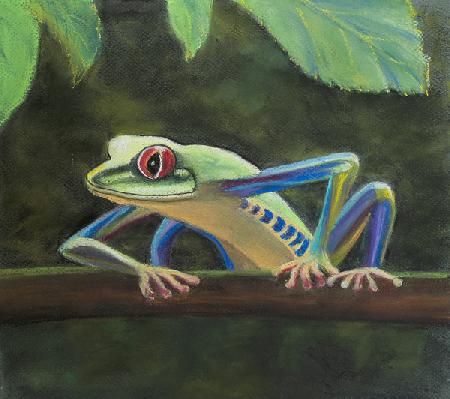 Tree frog 2020