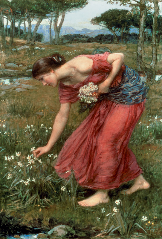 Narziß von John William Waterhouse