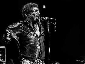 Charles Bradley in Erinnerung