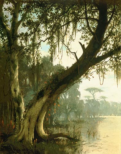 In the Bayou von Joseph Rusling Meeker