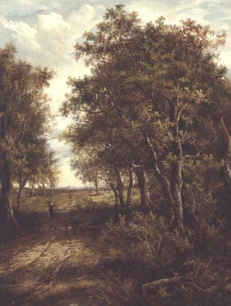 A Clearing in the Woods von Joseph Thors