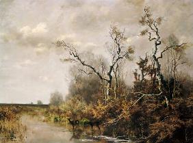 Moorlandschaft mit zwei Rehen 1878