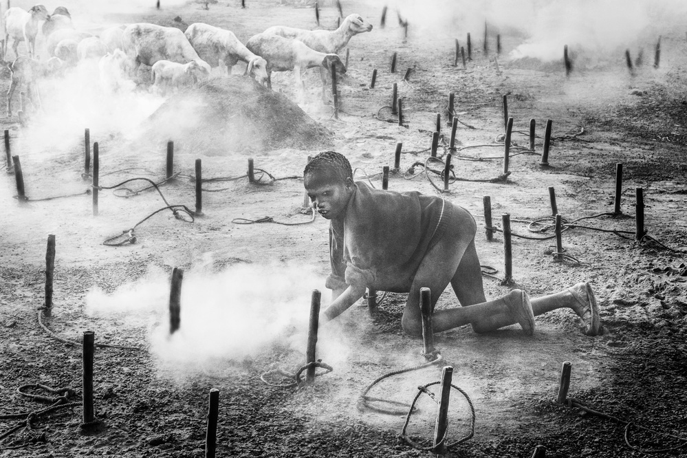 Sammeln von Mist in einem Mundari-Rinderlager – Südsudan von Joxe Inazio Kuesta Garmendia