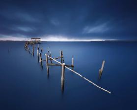 Carrasqueira azul