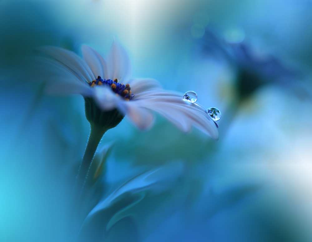 Beyond the Visible... von Juliana Nan