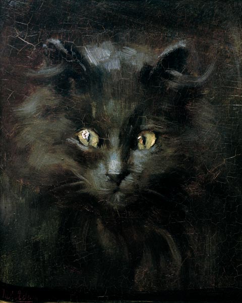 Porträt einer Katze - Julius Adam als Kunstdruck oder Gemälde.