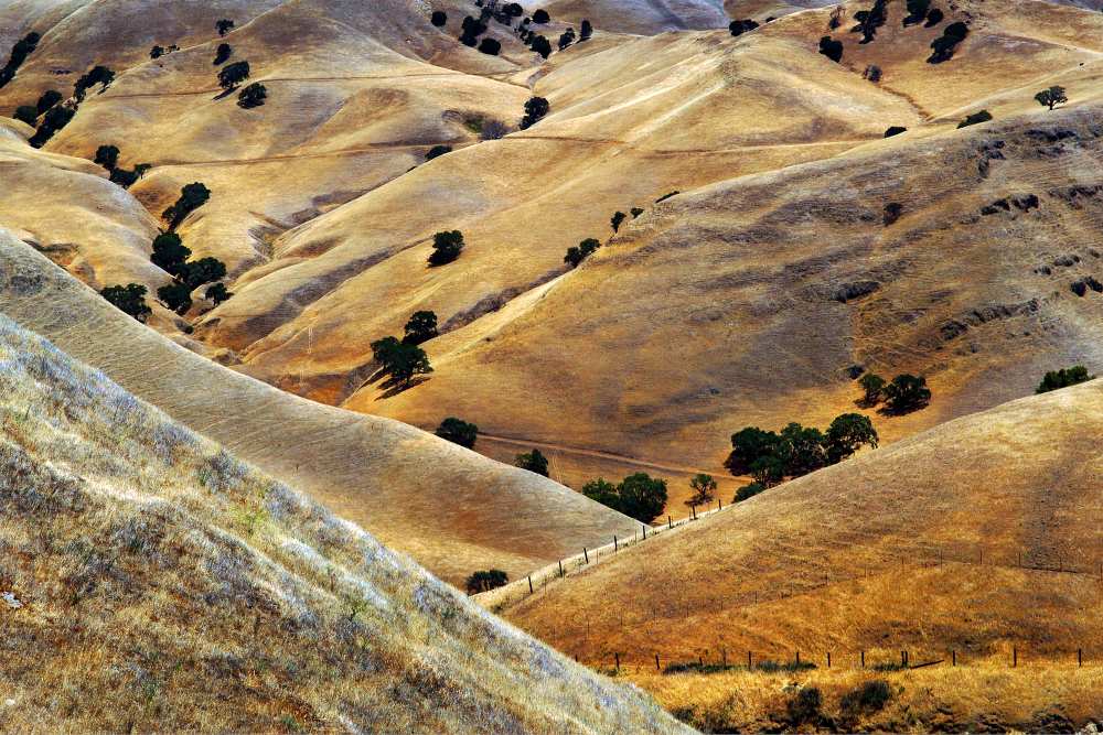 Golden hills von Jure Kravanja