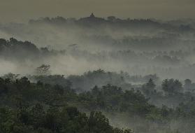 Tempel im Nebel