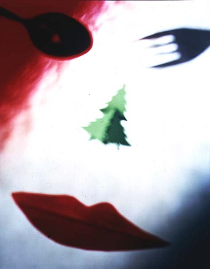 Christmas Face, 1995 (colour photo)  von Katherine  Fawssett