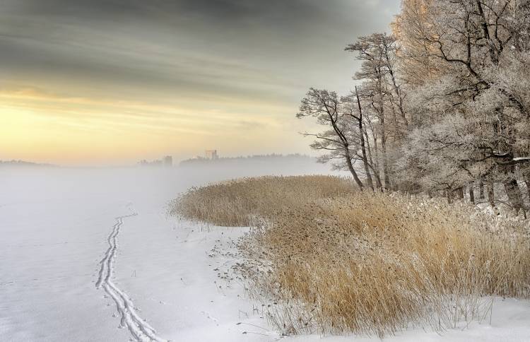 Misty winter morning von Keijo Savolainen
