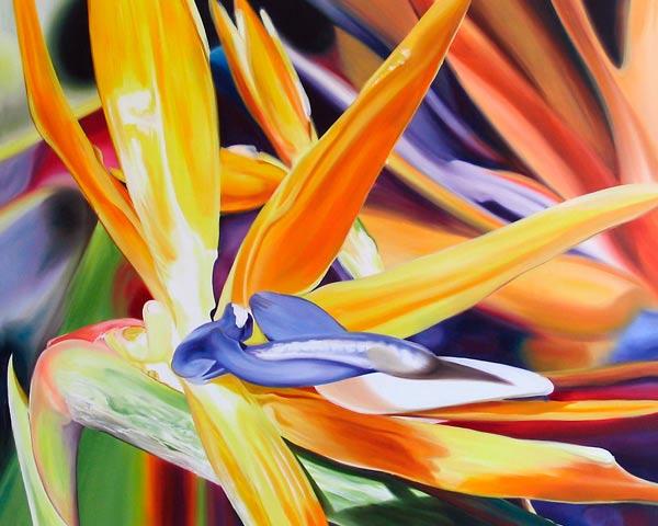 Birds of Paradise 2005