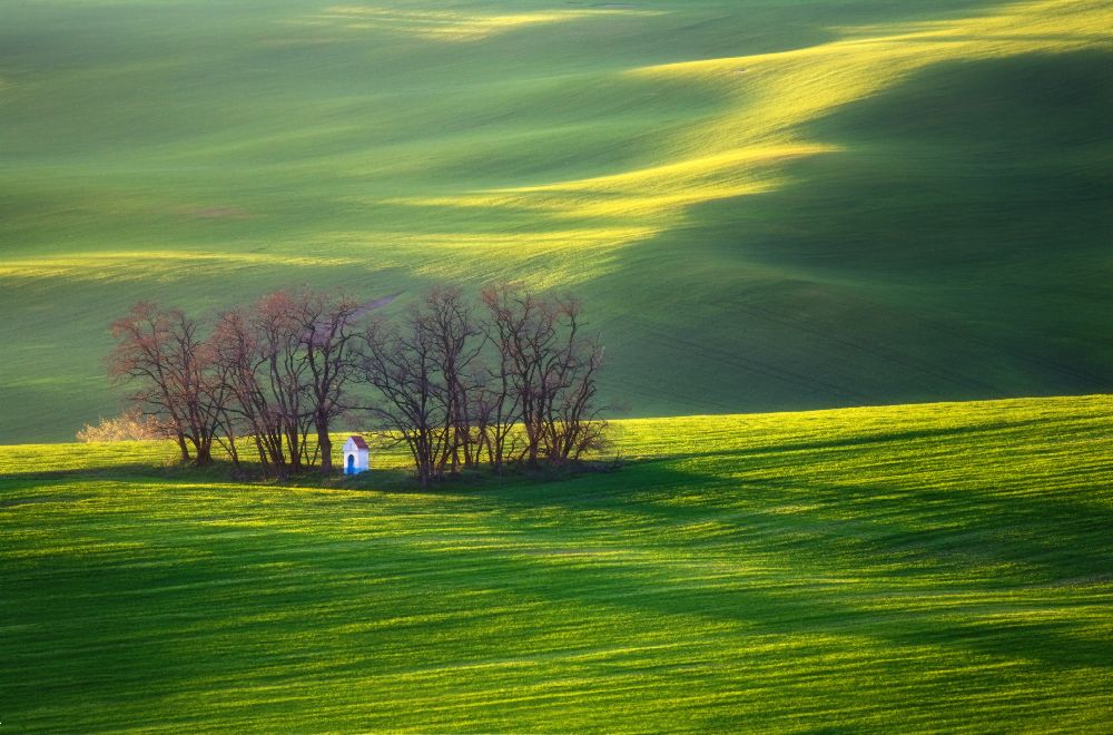 Felder ... von Krzysztof Browko