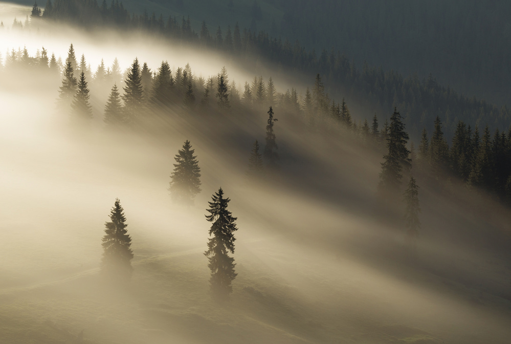 Goldener Nebel von Lazar Ioan Ovidiu
