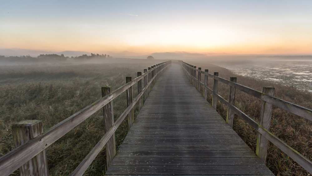 Morning walk. von Leif Løndal