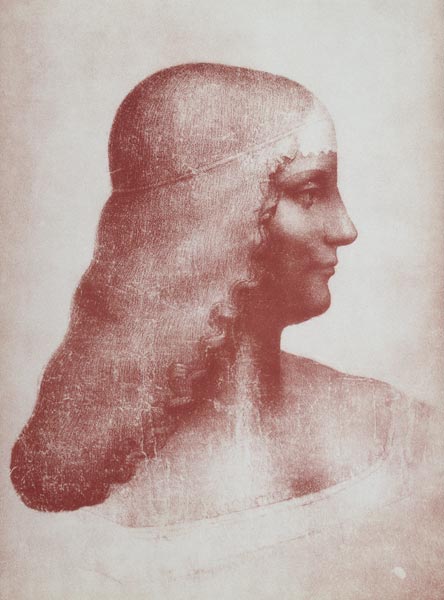 Head of a Woman in Profile von Leonardo da Vinci