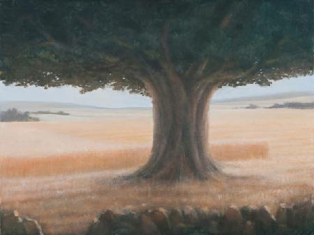 Tree, Holwell 2012