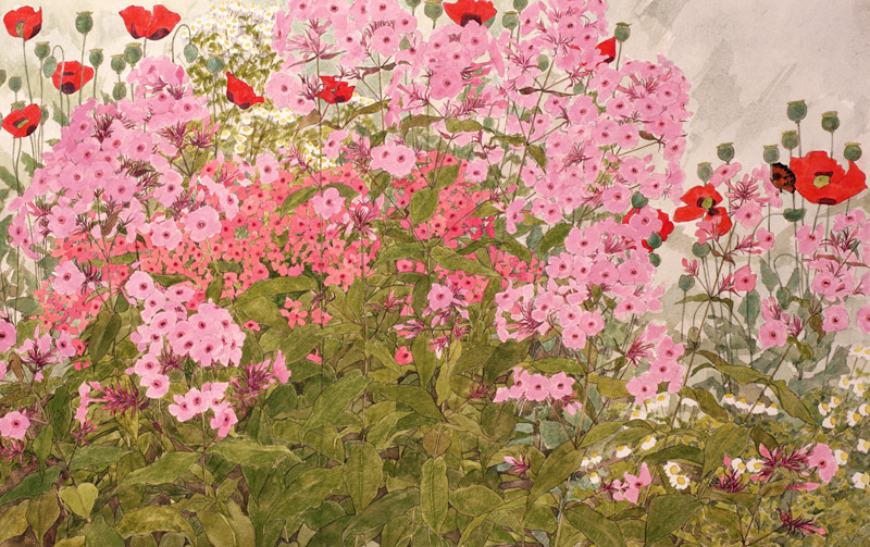 Pink Phlox and Poppies with a Butterfly (w/c on paper)  von Linda  Benton