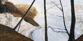 Rügen - Blick vom Abgrund 2006