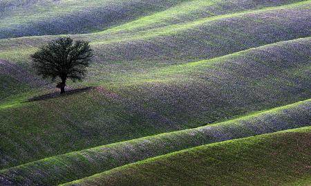 Landschaft