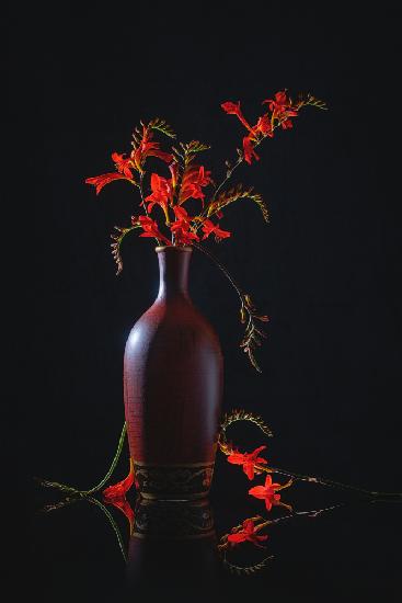 Rote Luzifer-Blume