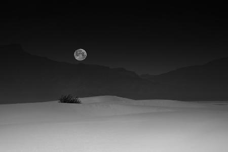 Vollmond über White Sands