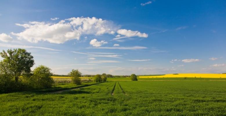 Frühling von Maik Blume