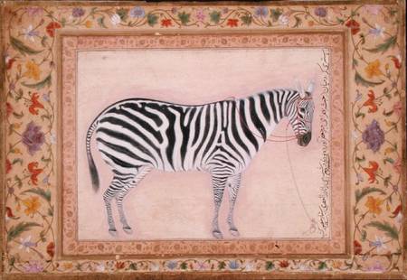 Zebra, from the 'Minto Album' von Mansur