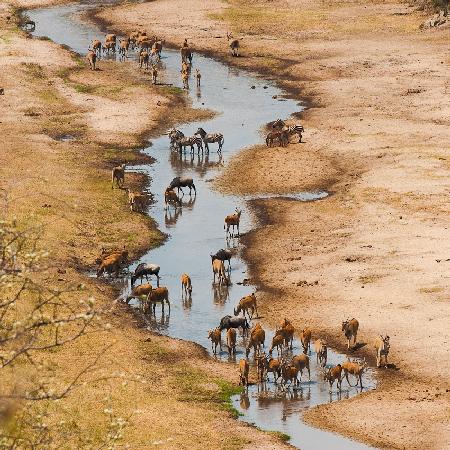 Der Tarangire-Fluss