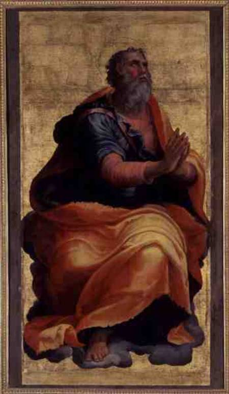 Saint Paul the Apostle von Marco Pino