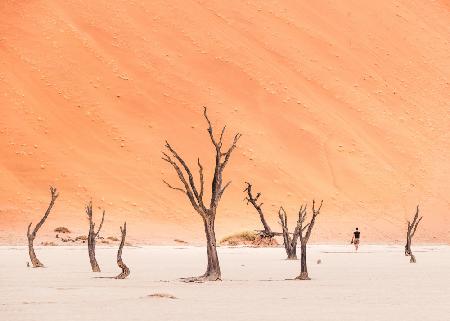 Im Deadvlei spazieren gehen