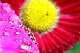 Wetter - Spiegelung in Wassertropfen